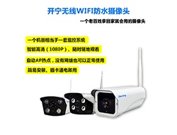 室外無(wú)線(xiàn)WIFI網(wǎng)絡(luò)攝像機(jī)系列2 （點(diǎn)擊進(jìn)入大圖）