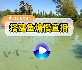 魚(yú)塘釣魚(yú)實(shí)時(shí)慢直播解決方案