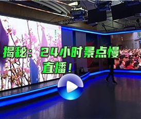 揭秘：24小時(shí)景點(diǎn)慢直播！